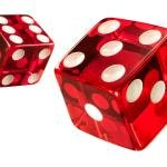 Dice Game for Adults